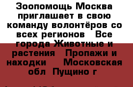 Зоопомощь.Москва приглашает в свою команду волонтёров со всех регионов - Все города Животные и растения » Пропажи и находки   . Московская обл.,Пущино г.